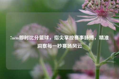 7ncm即时比分篮球,指尖掌控赛事脉搏,精准洞察每一秒赛场风云