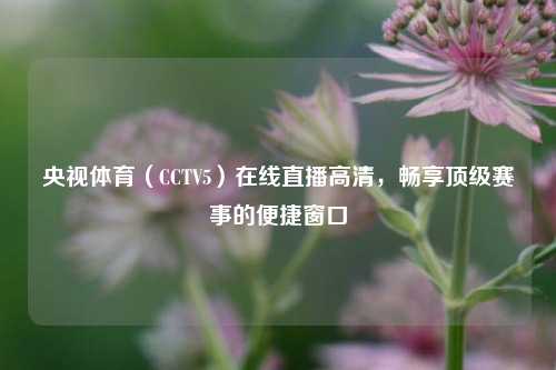 央视体育(CCTV5)在线直播高清,畅享顶级赛事的便捷窗口