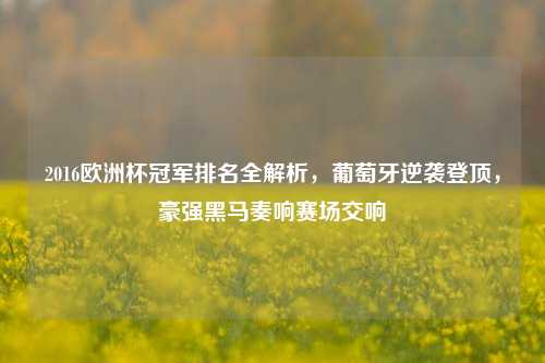 2016欧洲杯冠军排名全解析,葡萄牙逆袭登顶,豪强黑马奏响赛场交响