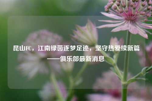 昆山FC,江南绿茵逐梦足迹,坚守热爱续新篇——俱乐部最新消息