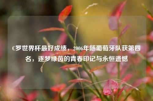 C罗世界杯最好成绩,2006年随葡萄牙队获第四名,逐梦绿茵的青春印记与永恒遗憾
