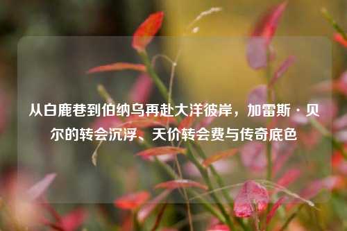从白鹿巷到伯纳乌再赴大洋彼岸,加雷斯·贝尔的转会沉浮、天价转会费与传奇底色