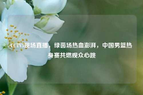 CCTV5现场直播,绿茵场热血澎湃,中国男篮热身赛共燃观众心跳