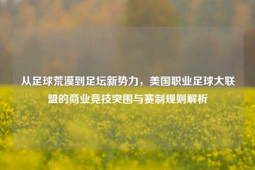 从足球荒漠到足坛新势力,美国职业足球大联盟的商业竞技突围与赛制规则解析