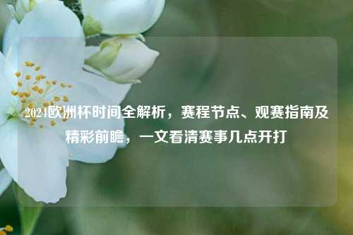 2024欧洲杯时间全解析，赛程节点、观赛指南及精彩前瞻，一文看清赛事几点开打