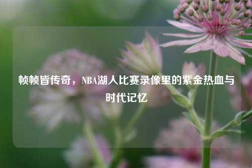 帧帧皆传奇,NBA湖人比赛录像里的紫金热血与时代记忆