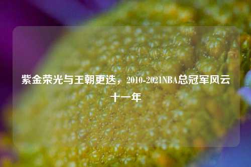 紫金荣光与王朝更迭，2010-2021NBA总冠军风云十一年