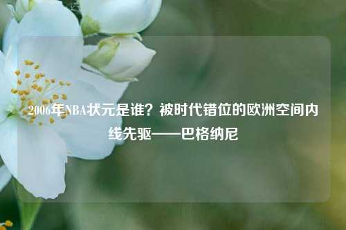 2006年NBA状元是谁？被时代错位的欧洲空间内线先驱——巴格纳尼