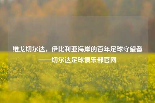 维戈切尔达,伊比利亚海岸的百年足球守望者——切尔达足球俱乐部官网