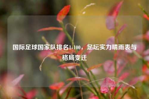 国际足球国家队排名1-100,足坛实力晴雨表与格局变迁