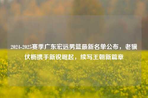 2024-2025赛季广东宏远男篮最新名单公布,老骥伏枥携手新锐崛起,续写王朝新篇章