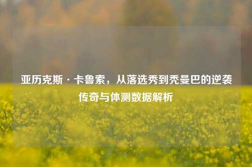亚历克斯·卡鲁索,从落选秀到秃曼巴的逆袭传奇与体测数据解析