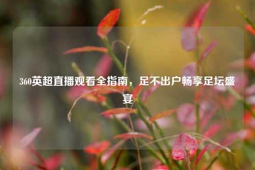 360英超直播观看全指南，足不出户畅享足坛盛宴
