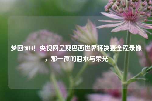 梦回2014！央视网呈现巴西世界杯决赛全程录像，那一夜的泪水与荣光