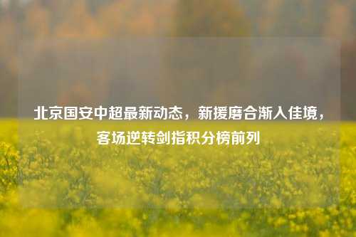 北京国安中超最新动态,新援磨合渐入佳境,客场逆转剑指积分榜前列