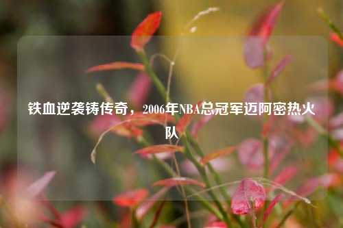 铁血逆袭铸传奇,2006年NBA总冠军迈阿密热火队