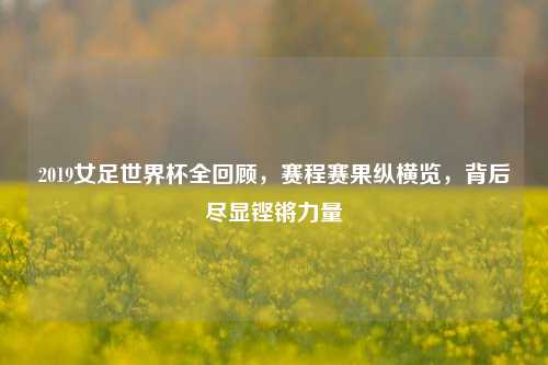 2019女足世界杯全回顾,赛程赛果纵横览,背后尽显铿锵力量
