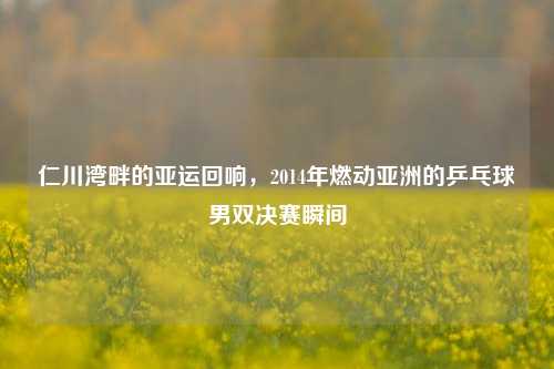 仁川湾畔的亚运回响,2014年燃动亚洲的乒乓球男双决赛瞬间