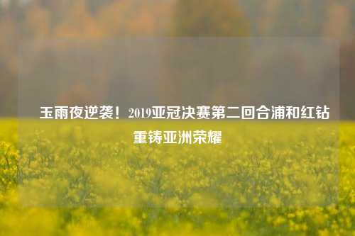 埼玉雨夜逆袭!2019亚冠决赛第二回合浦和红钻重铸亚洲荣耀