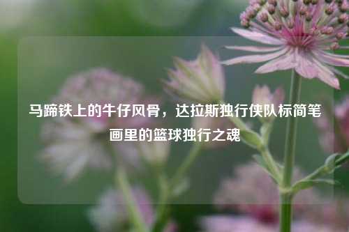 马蹄铁上的牛仔风骨,达拉斯独行侠队标简笔画里的篮球独行之魂