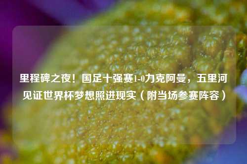 里程碑之夜！国足十强赛1-0力克阿曼，五里河见证世界杯梦想照进现实（附当场参赛阵容）