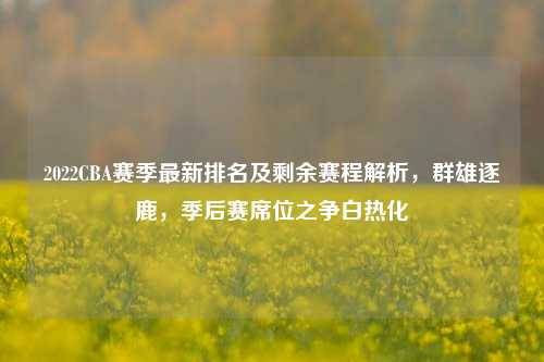 2022CBA赛季最新排名及剩余赛程解析，群雄逐鹿，季后赛席位之争白热化