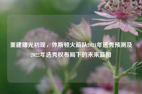 重建曙光初现,休斯顿火箭队2021年选秀预测及2022年选秀权布局下的未来蓝图
