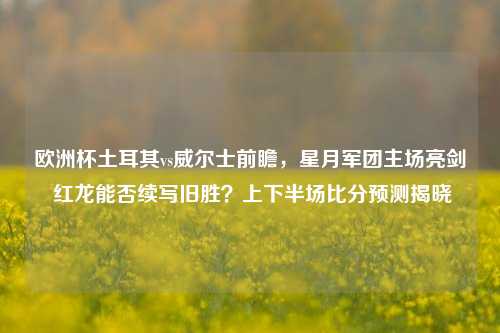 欧洲杯土耳其vs威尔士前瞻，星月军团主场亮剑 红龙能否续写旧胜？上下半场比分预测揭晓