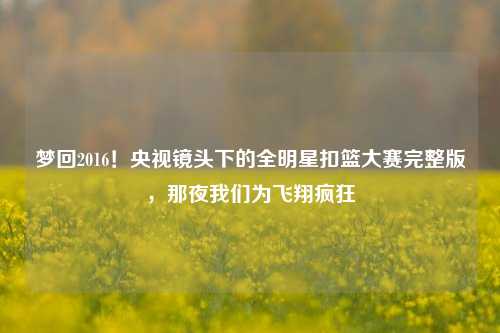 梦回2016!央视镜头下的全明星扣篮大赛完整版,那夜我们为飞翔疯狂