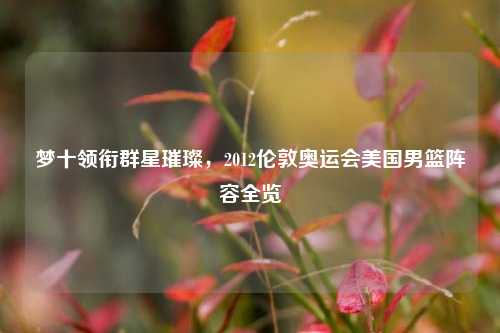 梦十领衔群星璀璨,2012伦敦奥运会美国男篮阵容全览