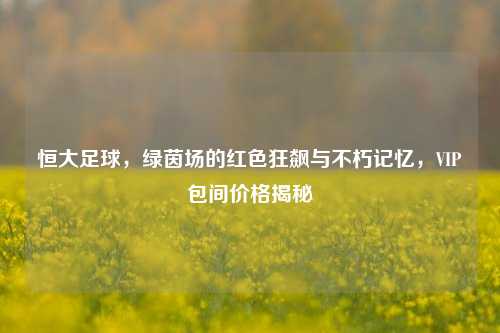 恒大足球，绿茵场的红色狂飙与不朽记忆，VIP包间价格揭秘