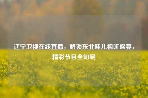 辽宁卫视在线直播,解锁东北味儿视听盛宴,精彩节目全知晓