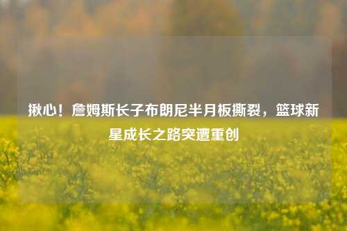 揪心！詹姆斯长子布朗尼半月板撕裂，篮球新星成长之路突遭重创