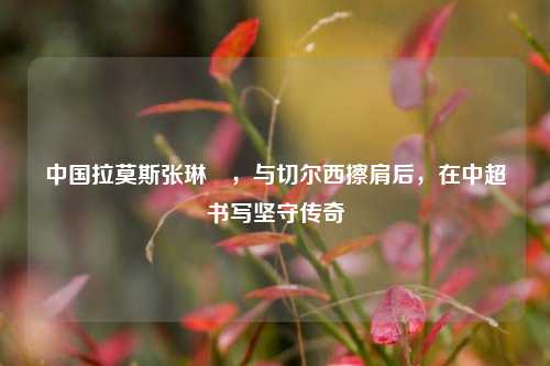 中国拉莫斯张琳芃,与切尔西擦肩后,在中超书写坚守传奇