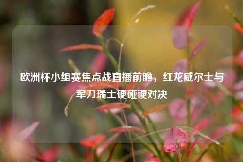 欧洲杯小组赛焦点战直播前瞻,红龙威尔士与军刀瑞士硬碰硬对决