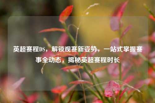 英超赛程DS，解锁观赛新姿势，一站式掌握赛事全动态，揭秘英超赛程时长