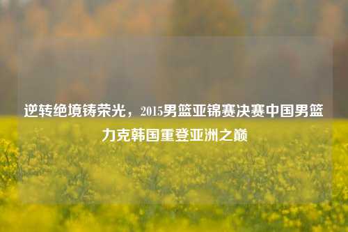 逆转绝境铸荣光,2015男篮亚锦赛决赛中国男篮力克韩国重登亚洲之巅