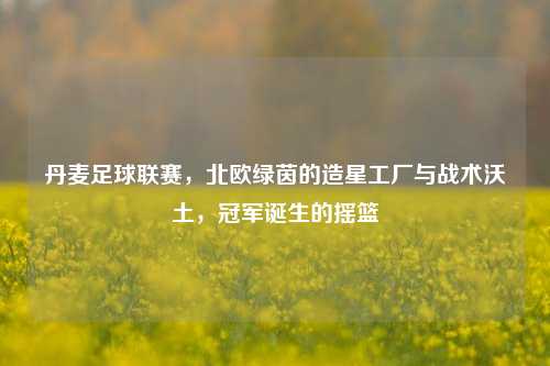 丹麦足球联赛,北欧绿茵的造星工厂与战术沃土,冠军诞生的摇篮