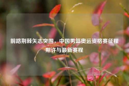 前路荆棘矢志突围,中国男篮奥运资格赛征程期许与最新赛程