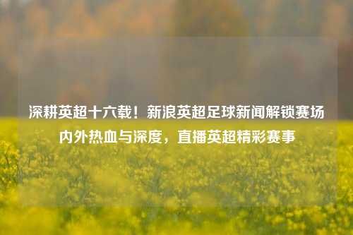 深耕英超十六载!新浪英超足球新闻解锁赛场内外热血与深度,直播英超精彩赛事