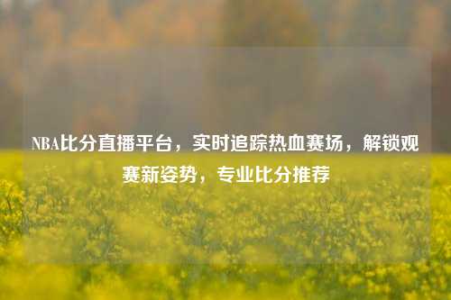 NBA比分直播平台,实时追踪热血赛场,解锁观赛新姿势,专业比分推荐