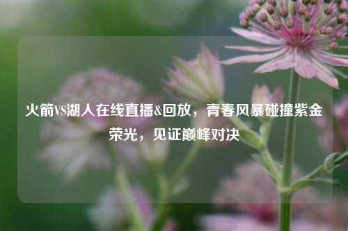 火箭VS湖人在线直播&回放，青春风暴碰撞紫金荣光，见证巅峰对决