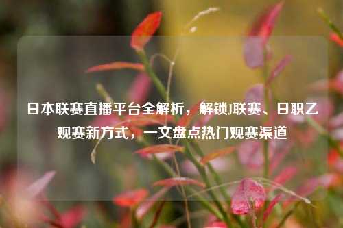 日本联赛直播平台全解析,解锁J联赛、日职乙观赛新方式,一文盘点热门观赛渠道