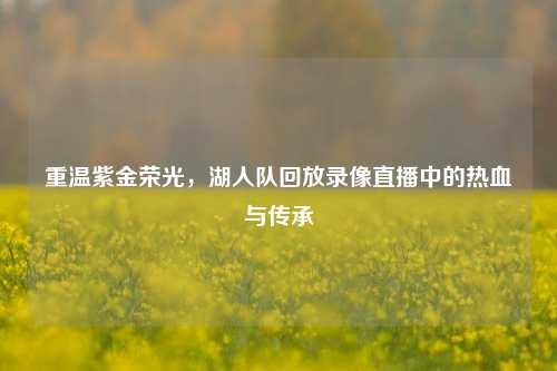 重温紫金荣光，湖人队回放录像直播中的热血与传承