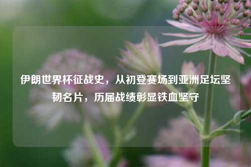 伊朗世界杯征战史,从初登赛场到亚洲足坛坚韧名片,历届战绩彰显铁血坚守