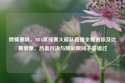 燃情赛场，NBA常规赛火箭队直播全程追踪及比赛录像，热血对决与精彩瞬间不容错过