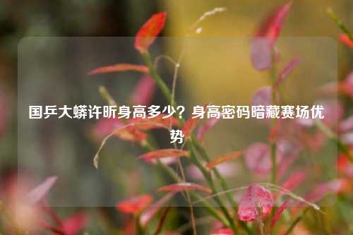 国乒大蟒许昕身高多少?身高密码暗藏赛场优势