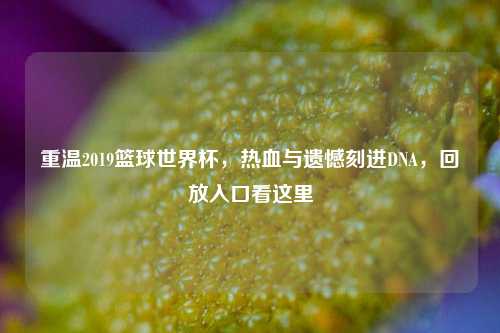 重温2019篮球世界杯,热血与遗憾刻进DNA,回放入口看这里