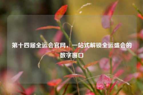第十四届全运会官网,一站式解锁全运盛会的数字窗口