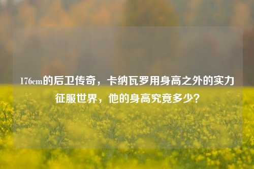 176cm的后卫传奇,卡纳瓦罗用身高之外的实力征服世界,他的身高究竟多少?